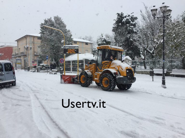 neve