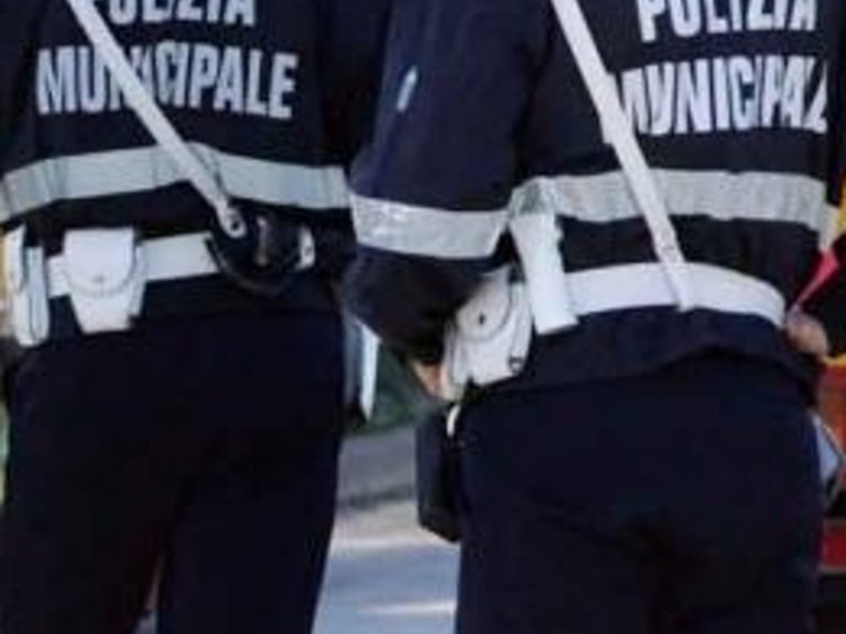 vigili