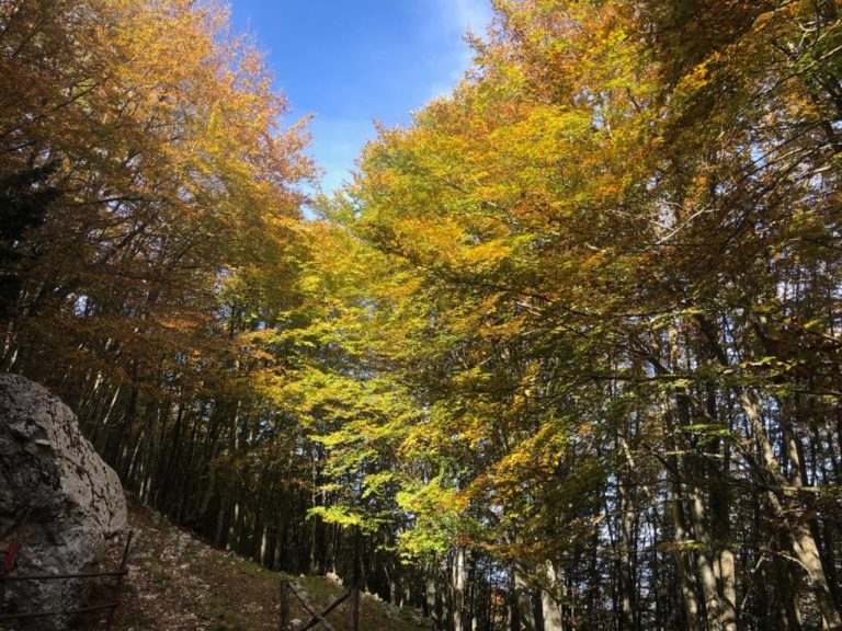 montagna