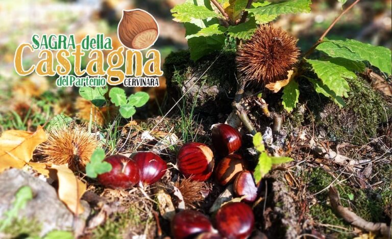 CASTAGNA2