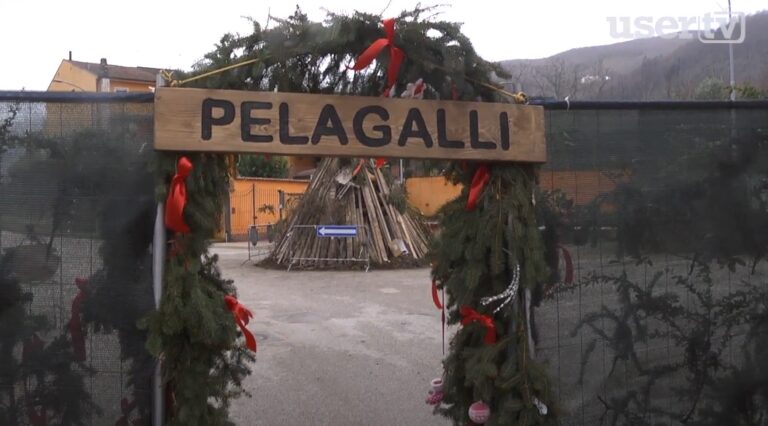 pelagalli