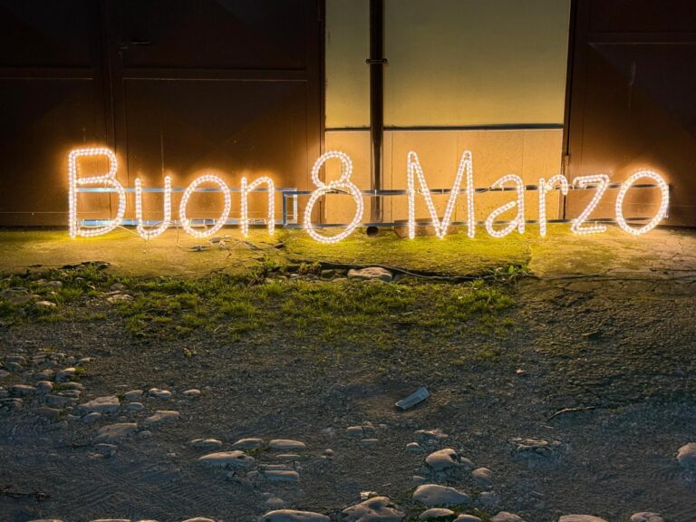 8 marzo rotondi